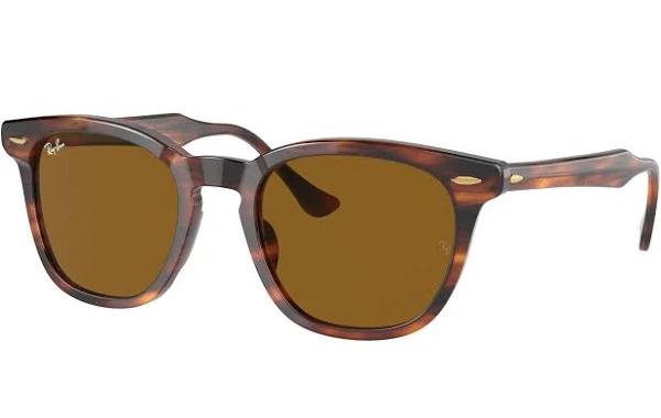 Ray-Ban RB2298 Hawkeye 954/33 Striped Havana