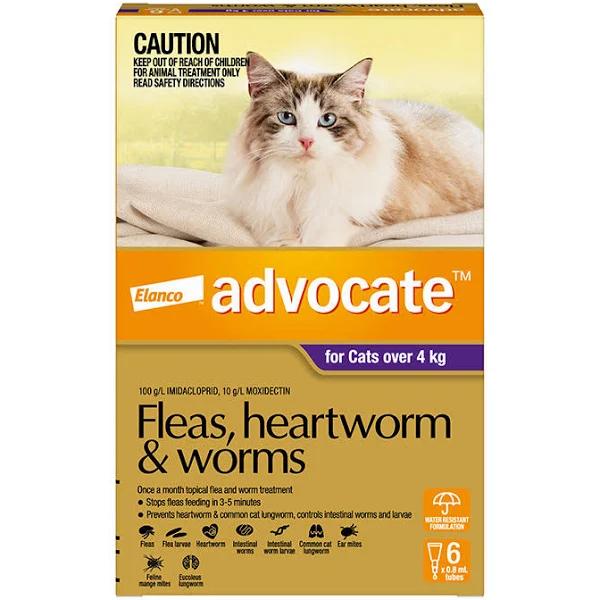 2 x Advocate Large Cat Flea Heartworm & Worm Pipette 6 Pack in Purple