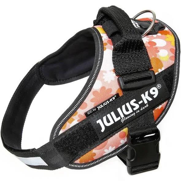 Julius-K9, 16Idc-Pnf-0, Idc-Powerharness, Size: 0, Pink with Flowers