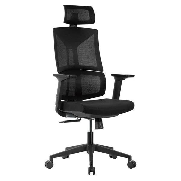 Desky Pro Adjustable High Back Mesh Chair