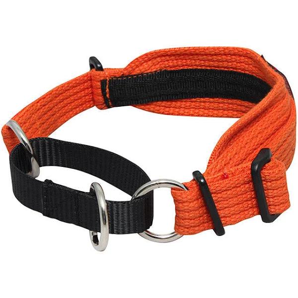 Black Dog Wear Whippet Collar Orange