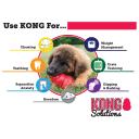 Kong Classic XLarge Bundle of Fun Toy Pack For Dogs by Budget Pet Products