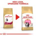 Royal Canin Dry Cat Food Persian Kitten 400g