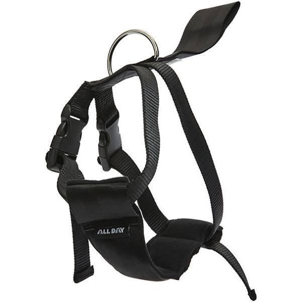 All Day Seat Belt Dog Harness Black S