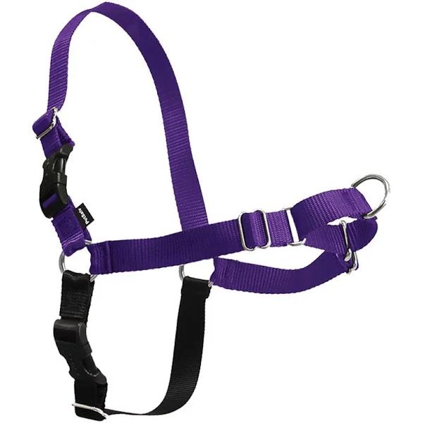 Easy Walk Nylon Harness by PetSafe - Deep Purple/Black - Large