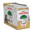 Royal Canin Maine Coon Gravy Adult Wet Cat Food 12 x 85g