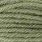 DMC Tapestry & Embroidery Wool 8.8 Yards Dark Drab Olive 486-7426