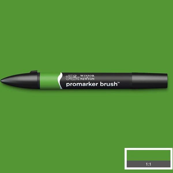 Winsor & Newton : Brush Marker : Forest Green