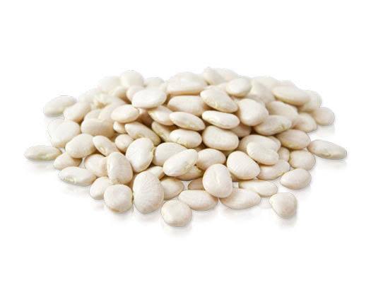 Shop White Lima Beans & Butter Beans Here I Nuts about Life 5kg Bulk