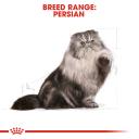 Royal Canin Cat Food Persian (10 kg)