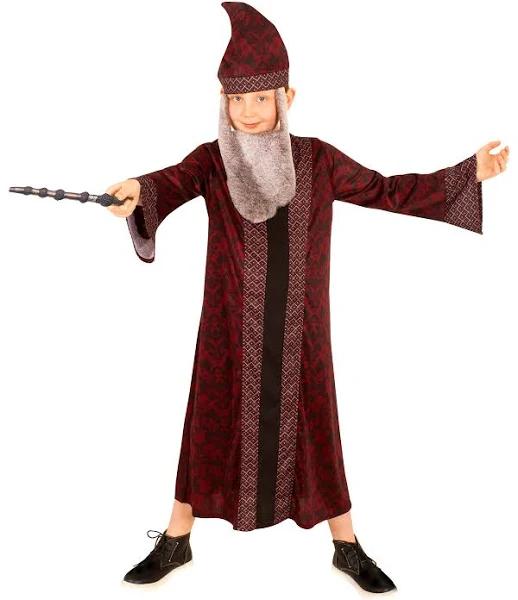 Harry Potter Professor Dumbledore Robe Child Costume