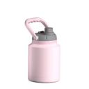 Oasis 1.2L Insulated Mini Jug Stainless Steel w/ Carry Handle - Carnation