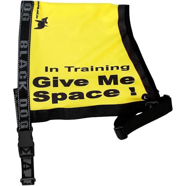 Black Dog Wear Give Me Space Vest in Training / Large