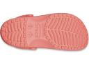 Crocs | Unisex Classic Clog (Neon Watermelon) M11