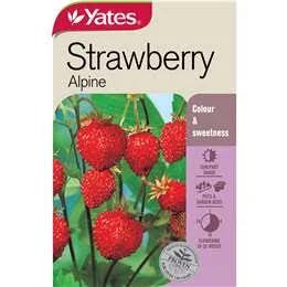 Yates Alpine Strawberry Seeds 0.1g