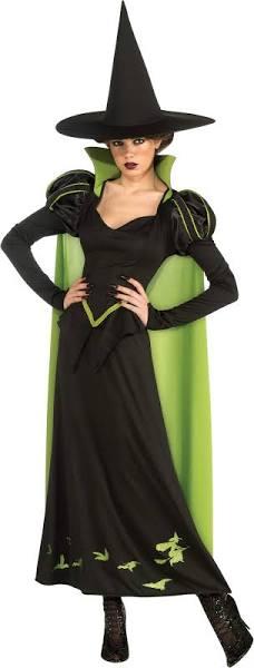 Wicked Witch Adult Costume