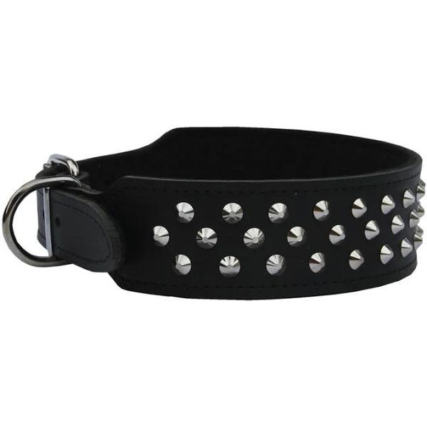 Dog Collar Staffy/Bull Terrier Leather with Studs 50mm - 65cm