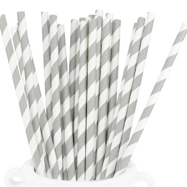 Paper Straws - Silver