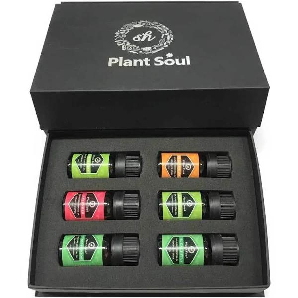 Essential Oils Gift Box - 6 x 10ml Bottles Gift Pack Plant Soul Oil Selection