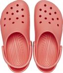 Crocs | Unisex Classic Clog (Neon Watermelon) M11