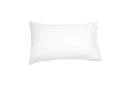 Algodon 300TC Cotton Sheet Set - White King