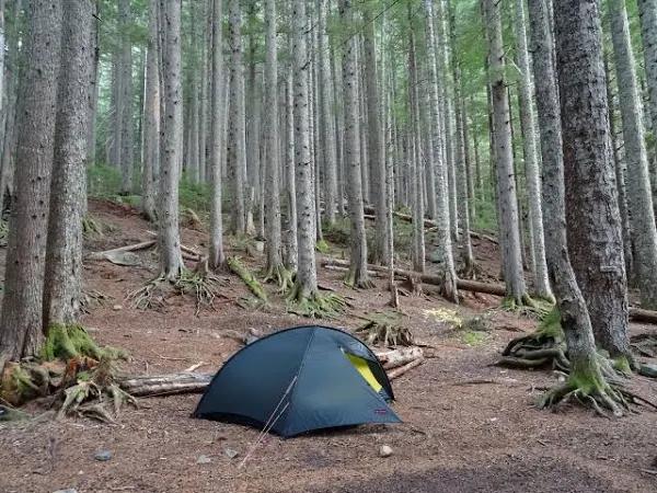 Hilleberg Rogen Tent, 2-Person, 3 Season, Sand, 17713