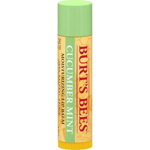 Burt's Bees Cucumber Mint Moisturizing Lip Balm