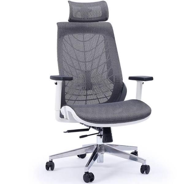 Fortia Ergonomic Office Desk Chair, With Adjustable Lumbar Support and Headrest, Dark Grey Mesh/White Frame