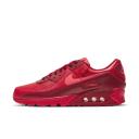 Nike Air Max 90 City Special Chicago