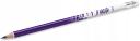 Bic Kids Evolution Illusion Erasable Colored Pencils - Assorted Colors