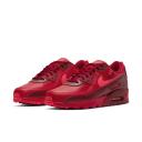 Nike Air Max 90 City Special Chicago