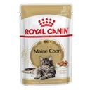 Royal Canin Maine Coon Gravy Adult Wet Cat Food 12 x 85g