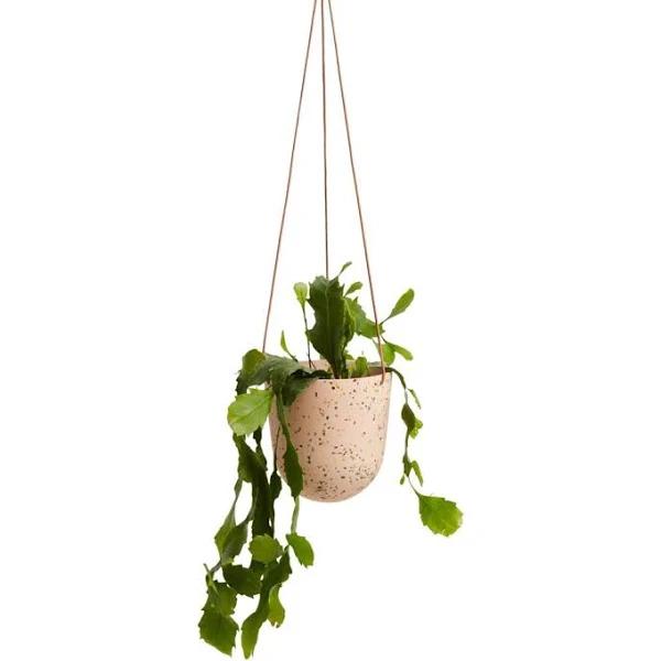 Terrazzo Hanging Pot Salt Terrazzo