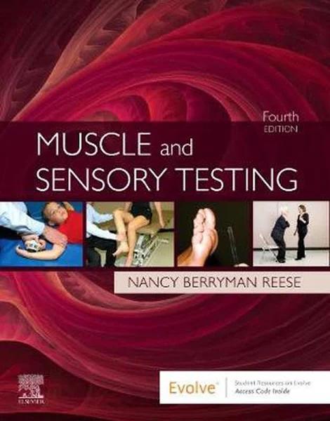 Muscle and Sensory Testing