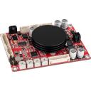 Dayton Audio Dspb-100 100W Class D Mono Audio Amplifier Board with DSP