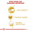 Royal Canin Cat Food Maine Coon (10 kg)