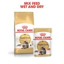 Royal Canin Maine Coon Gravy Adult Wet Cat Food 12 x 85g