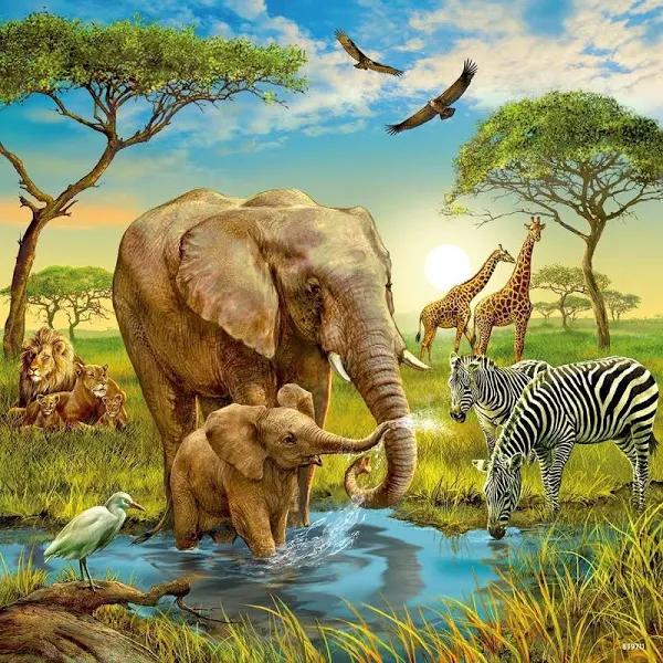 Ravensburger - Animals of The Earth 3x49pc Puzzle