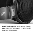 Sennheiser HD 650 Open Circumaural Audiophile Headphones