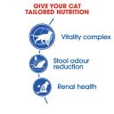 Royal Canin Indoor 7+ Cat Food 1.5kg