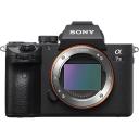 Sony Alpha A7 III Mirrorless Camera (Body Only)