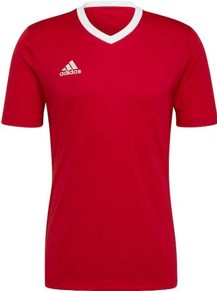 Adidas Entrada 22 Short Sleeve T-Shirt Red L Man