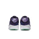 Nike Air Max 90 Violet Blend