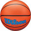 Wilson Evolution Emea Basketball