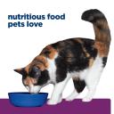 Hills Prescription Diet Cat Y/D Thyroid Care Chicken Wet Food 156g x 24