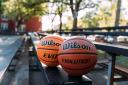 Wilson Evolution Game Basketball