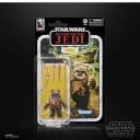 Star Wars - Return of The Jedi 40th Anniversary Black Series Wicket Action Figure