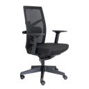 Desky Elite Ergonomic Chair - No Headrest - AfterPay & zipPay Available