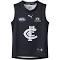 Carlton Football Club 2024 Replica Home Guernsey - Youth 8-16 Years in Dark Navy/White/Cfc, Size XS by Puma