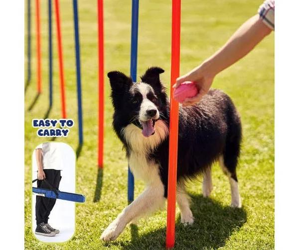 Pet Dog Weave Pole Puppy Interactive Toys Agility Equipment Exercise Training 12pcs Adjustable with Carrying Case